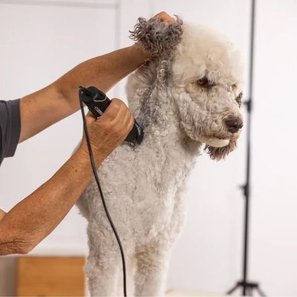 102981_2_result WAHL PET MAX50+ 1251-0470,Επαγγελματική Κουρευτική Μηχανή Ρεύματος για Κατοικίδια BLDC | 1.5 mm - Image 3