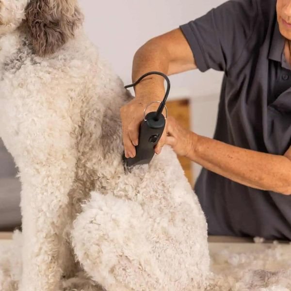 102981_3_result WAHL PET MAX50+ 1251-0470,Επαγγελματική Κουρευτική Μηχανή Ρεύματος για Κατοικίδια BLDC | 1.5 mm - Image 4