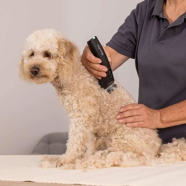 102982_2_result WAHL PET ARCOPRO 1876-0472,Επαγγελματική Κουρευτική Μηχανή Επαναφορτιζόμενη για Κατοικίδια DC | 120 min - Image 3