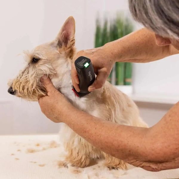 102982_3_result WAHL PET ARCOPRO 1876-0472,Επαγγελματική Κουρευτική Μηχανή Επαναφορτιζόμενη για Κατοικίδια DC | 120 min - Image 4