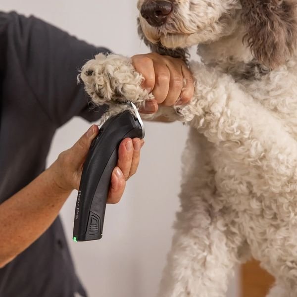 102982_4_result WAHL PET ARCOPRO 1876-0472,Επαγγελματική Κουρευτική Μηχανή Επαναφορτιζόμενη για Κατοικίδια DC | 120 min - Image 5