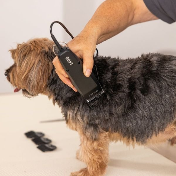 102983_2_result WAHL PET 1400 1406-0482,Επαγγελματική Κουρευτική Μηχανή Ρεύματος για Κατοικίδια - Image 3