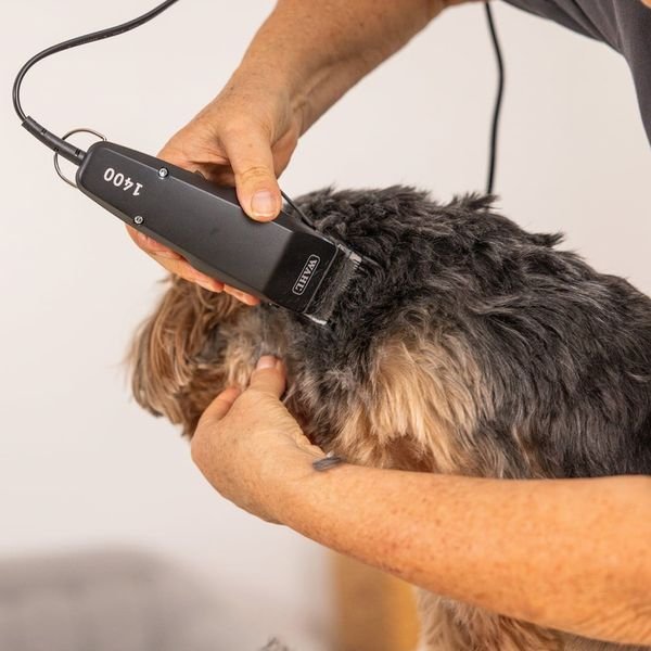 102983_4_result WAHL PET 1400 1406-0482,Επαγγελματική Κουρευτική Μηχανή Ρεύματος για Κατοικίδια - Image 5