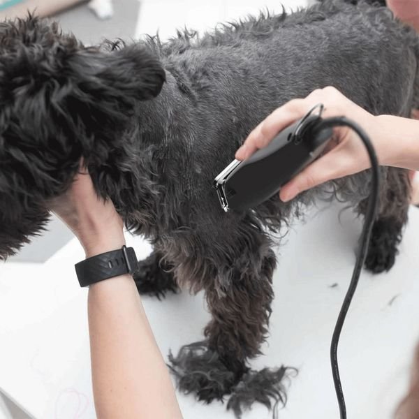 102984_2_result WAHL PET REX 1230-0477,Επαγγελματική Κουρευτική Μηχανή Ρεύματος για Κατοικίδια - Image 3