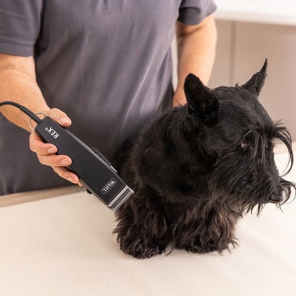 102984_3_result WAHL PET REX 1230-0477,Επαγγελματική Κουρευτική Μηχανή Ρεύματος για Κατοικίδια - Image 4