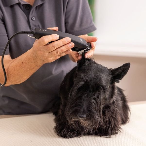 102984_4_result WAHL PET REX 1230-0477,Επαγγελματική Κουρευτική Μηχανή Ρεύματος για Κατοικίδια - Image 5