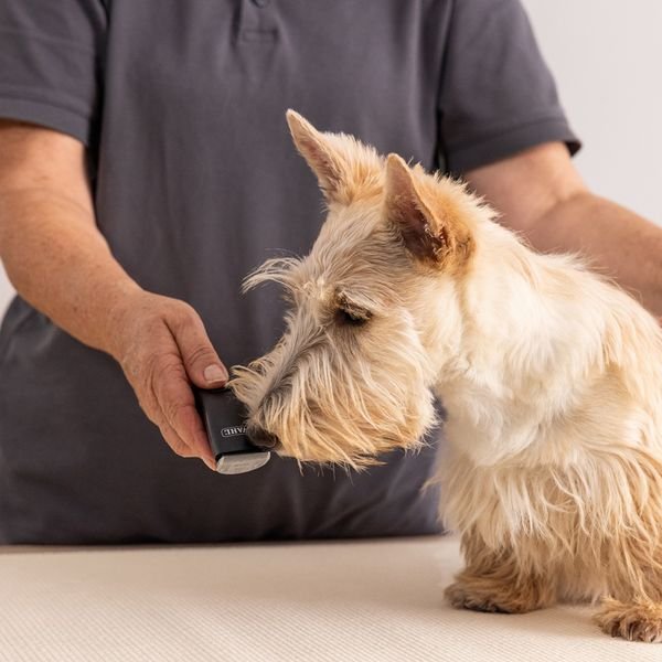 102985_2_result WAHL PET PRIMA 1586-0471,Επαγγελματικό Τρίμερ Επαναφορτιζόμενη/Ρεύματος για Κατοικίδια - Image 3