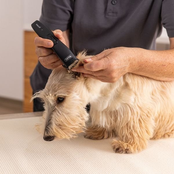 102985_3_result WAHL PET PRIMA 1586-0471,Επαγγελματικό Τρίμερ Επαναφορτιζόμενη/Ρεύματος για Κατοικίδια - Image 4