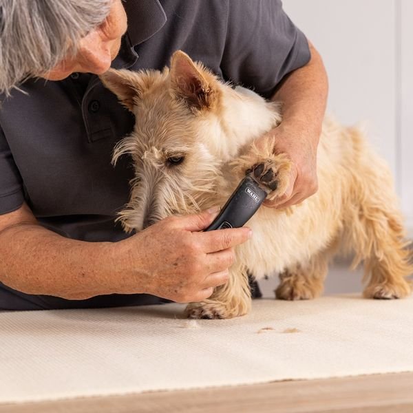 102985_4_result WAHL PET PRIMA 1586-0471,Επαγγελματικό Τρίμερ Επαναφορτιζόμενη/Ρεύματος για Κατοικίδια - Image 5