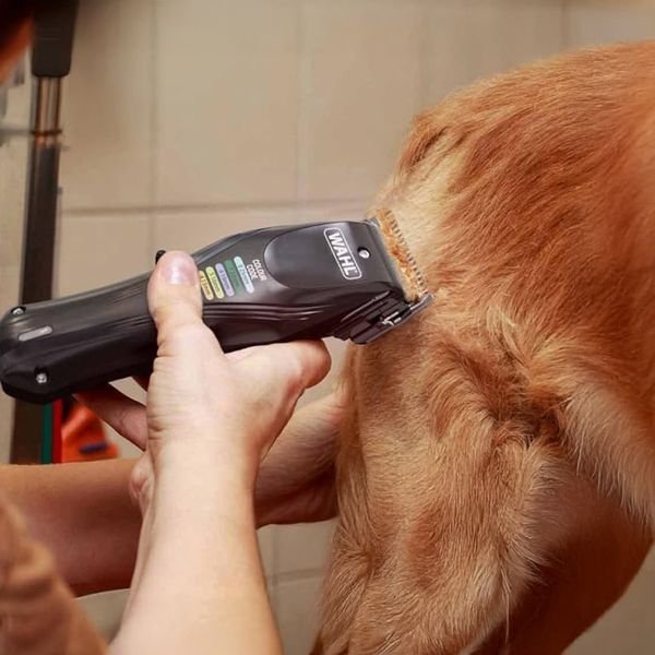 102986_2_result WAHL PET COLOUR PRO 3027682,Κουρευτική Μηχανή Επαναφορτιζόμενη για Κατοικίδια 6000 RPM - Image 10