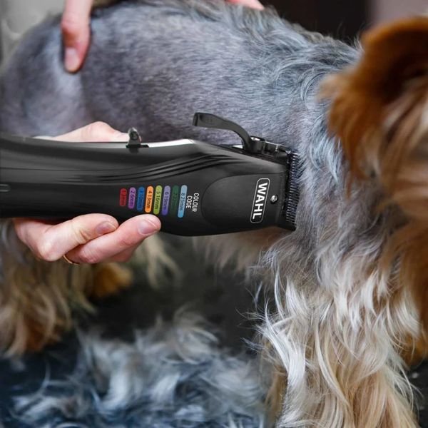 102986_4_result WAHL PET COLOUR PRO 3027682,Κουρευτική Μηχανή Επαναφορτιζόμενη για Κατοικίδια 6000 RPM - Image 12