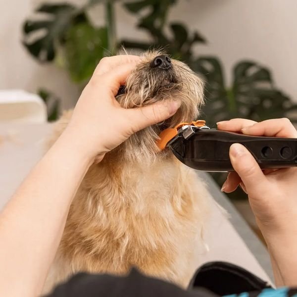 102987_3_result WAHL PET MULTI-CUT 3027683,Κουρευτική Μηχανή Ρεύματος για Κατοικίδια - Image 12